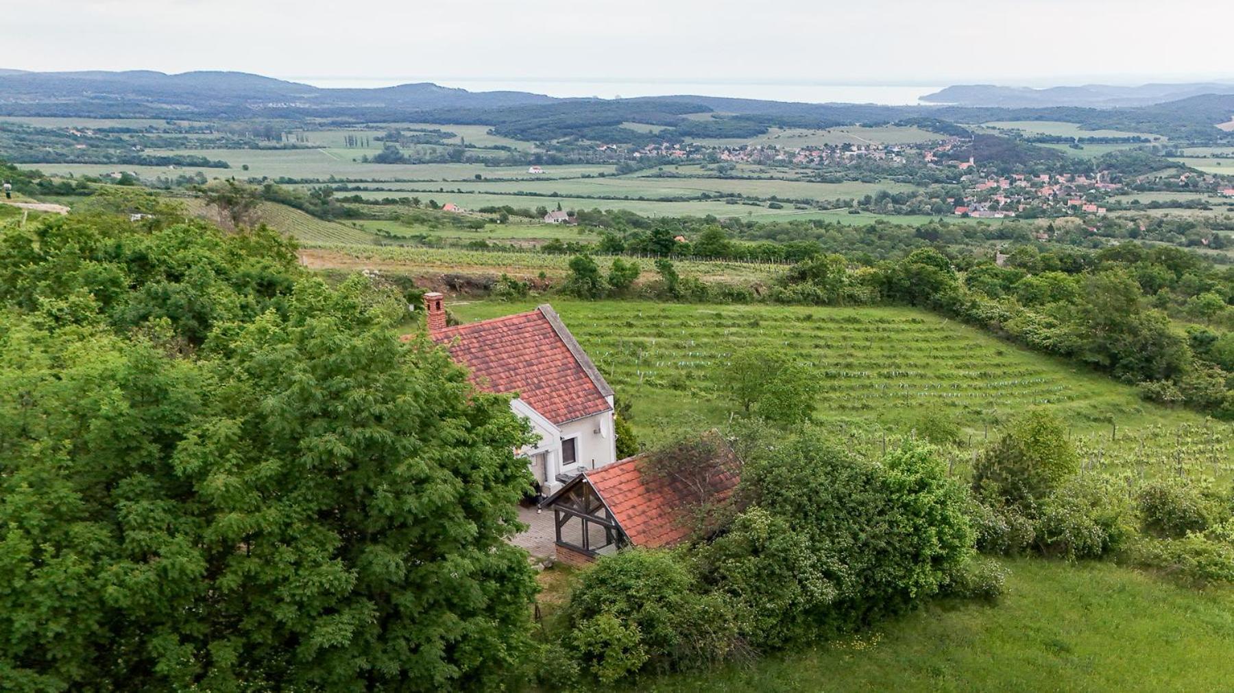 Borospince Vendégház Pécsely Exterior foto